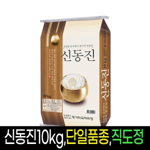 라이브